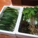 따봉농장 이미지