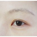 리아아이브로우