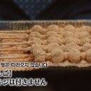 파스타시즌 이미지