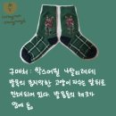 싹스콜렉션