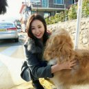짱아분식 이미지