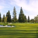 서부골프 이미지