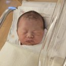 (주)멍이사랑 | 출산 후기 : 일주일차, 몸무게변화, 세가온입원실, 행복누리산후조리원