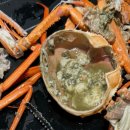 하벳(HAVET) 이미지