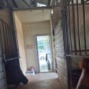 사천승마장 이미지