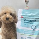 pet20거0793 | 강아지처방사료 에미넌트 하이포알러제닉 식이알러지사료 급여 후 변화 후기
