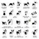 시그널동물병원 이미지