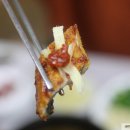 이조장어 이미지