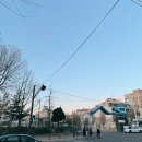 레이나플레르 이미지