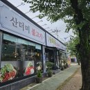 삼천포금화돈 이미지