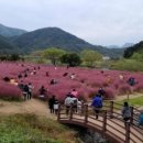 오카리나, 연주의 즐거움 이미지