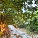 유명산258 이미지