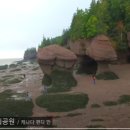 밀물호프