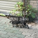 동촌유치원 | [블챌]왓츠인마이블로그 챌린지 3주 차, 소소한 일상 기록