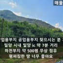 양지-2909 이미지