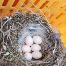 옥봉농장 이미지