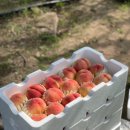 한은농장 이미지