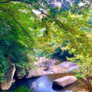 염선재 | 염선재에서의 힐링 여행 후기: 자연 속 평화로움을 느꼈다