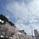 [시민제안강좌] 꽃차와 만나는 인문학 | &lt;언제든학교기획단 양성과정 6기&gt; 총 8회중 4회차까지 한 반토막 후기.