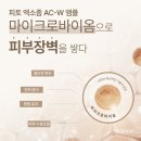 더블유에이씨 이미지