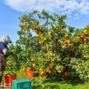 기주농장 이미지