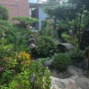 댕댕이 머리하는 날 이미지