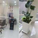 민아네미장원 이미지
