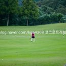 코코로트래블