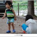 벽계야영장 Daum카페
