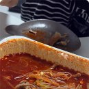 타코하이 이미지