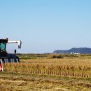 대동스크린 이미지