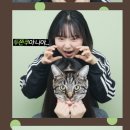 광토 | XO, My Cyberlove