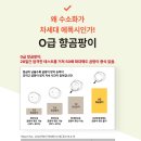 아마의 맹점 | 남양주줄눈시공: 화장실 줄눈 비용부터 빅라이언 후기까지!