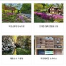 문막점기아오토큐 | [강원도] 국립 백운산 자연휴양림 가이드
