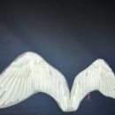 황토모텔 | 광주 동구 모텔 산수동 가성비 끝판왕 황토 모텔