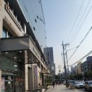 사랑니뽑을거면제발여기로 : 매복사랑니의 사랑니를부탁해치과 후기