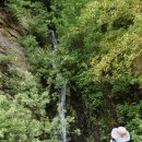 연곡주유소 이미지