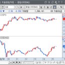 신도메디칼 이미지