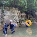 소호천 | 울산 울주군 대바우가든 : 계곡 평상 대여