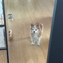 북면312 | 2/9 - 2/15 황금 설날 연휴 시작 전