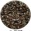 꼬치마요송도