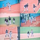 우리동네대장 뉴스엔