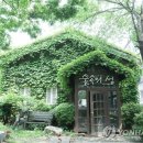 화사랑 연합뉴스