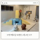 풀앤메종(Pool&Maison) | 가평 메종드힐 키즈펜션 내돈내산13개월 아기 방문후기