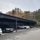 벨라몽 애견호텔 이미지