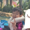 팔미마트 이미지