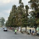 [덕계] 여행사진 기록에서 작품으로 | 달랏 일일투어 기록 - 나트랑 DAY2 대가족 여행 일정 분리 후기 (베나자 한국인가이드 투어)
