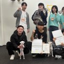 스테이영 애견학교 이미지