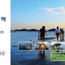 투데이여행사 - 2941 | 투데이여행사