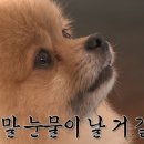 청통골프장 이미지